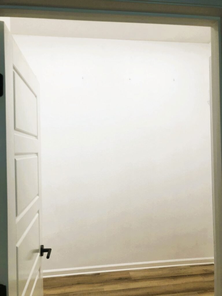 An empty closet with white walls, wood-look flooring, and an open door, freshly painted and ready to be transformed into an organized space.